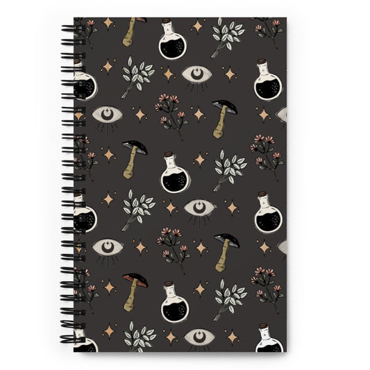 alchemist oracle eye spiral notebook // charcoal